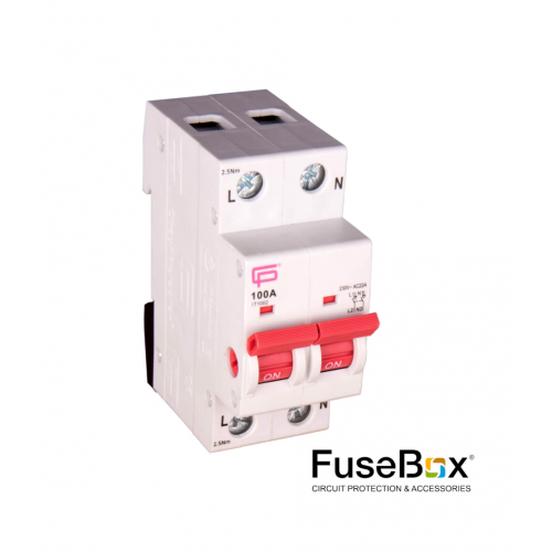 Fusebox Main Switch 100A 2P