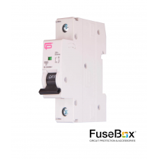 Fusebox 10A SP MCB B Type