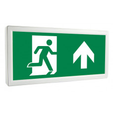 HARLED SLIM EXIT BOX